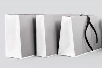 Image du produit Chemise à dossier de Tyvek